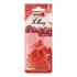 Ароматизатор мішечок X bag 20 гр Cherry Nowax NOWAX NX07555 (фото 1)