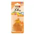 Ароматизатор мішечок X bag 20 гр Squash Nowax NOWAX NX07557 (фото 1)