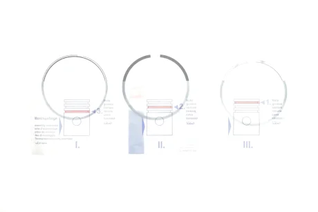 Кільця поршневі BMW 5 (F07/F10/F11)/7 (F01-F04)/X5 (E70) 4.4 08- (89.00mm/STD) (1.5-1.5-2) N63 NPR 120 007 0044 00