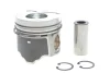 Поршень Renault Megane II/Laguna II 1.9dci 01-07 (80.00mm/STD) = 7138420000 NPR 130038002300