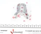 Вкладиші корінні Ford Transit 2.3 16V 00-06/Mondeo III/Focus 1.8/2.0 16V 00-07 (+0.25) = 6085182500 NPR 180 085 0012 15 (фото 4)