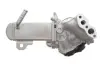 Радіатор рециркуляції ВГ з клапаном EGR Citroen Jumpy/Peugeot Expert 2.0 HDi 10- NRF 48204 (фото 5)