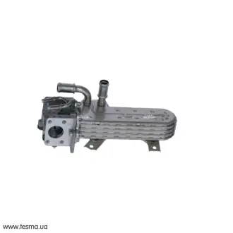 Радіатор рециркуляції ВГ з клапаном EGR VW Passat 1.9 TDI 05-10 NRF 48367
