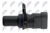 Датчик положення розподільчого валу лівий NTY ECPHY019 (фото 3)