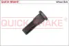 Болт гальмівного диска OJD QUICK BRAKE 0175 (фото 1)