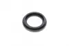 Ремкомплект супорта (заднього) BMW X3 (F25) 10- (d=42mm) (Trw) OJD QUICK BRAKE 114-0184 (фото 5)