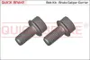 Болти направляючих супорта OJD QUICK BRAKE 11631K (фото 1)