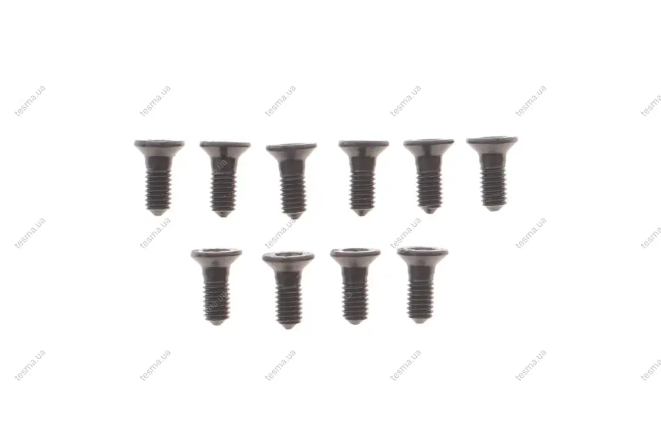 Болт кріплення диска гальмівного Hyundai Santa Fe/Kia Sportage 01- (к-кт 10шт) OJD QUICK BRAKE 1166710K (фото 1)