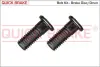 Болти кріплення гальм. дисків OJD QUICK BRAKE 11675K (фото 1)