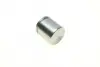 Поршень супорта (заднього) Land Rover Range Rover III 02-12 (45x48mm)(Bendix/Bosch) OJD QUICK BRAKE 185010 (фото 2)