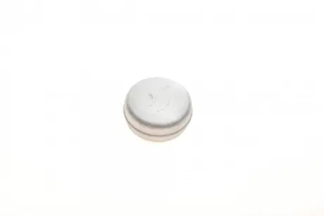 Кришка підшипника маточини (задньогого) Fiat Ducato/Citroen Jumper 82-02 (d=62mm) OJD QUICK BRAKE 9821