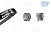 Водяной насос + комплект зубчатого ремня OPTIBELT KT1018W1 (фото 1)
