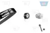 Водяной насос + комплект зубчатого ремня OPTIBELT KT1034W3 (фото 1)