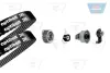 Водяной насос + комплект зубчатого ремня OPTIBELT KT1035W1 (фото 1)