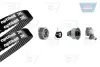 Водяной насос + комплект зубчатого ремня OPTIBELT KT1035W3 (фото 1)