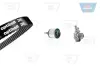 Водяной насос + комплект зубчатого ремня OPTIBELT KT1448W1 (фото 1)
