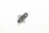Лампа фарная H1 12V 100W P14,5s (пр-во) OSRAM 62200 (фото 2)