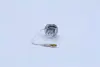 Лампа фарная H3 12V 55W PK22s blister (пр-во) OSRAM 6415101B (фото 4)