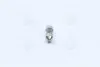 Лампа софитная вспомогат. освещения C10W 12V 10W SV8.5-8 (пр-во) OSRAM 6438 (фото 2)