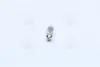 Лампа софитная вспомогат. освещения C10W 12V 10W SV8.5-8 (пр-во) OSRAM 6461 (фото 4)