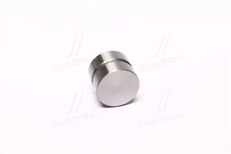 Гідрокомпенсатор HYUNDAI/KIA TB/TL/T8D/A5D/B5D/TP/TE (вир-во) PARTS-MALL HCETB017