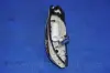 Електробензонасос DAEWOO NUBIRA 1.6-2.0 16V (J100) (вир-во) PARTS-MALL PDC-M004 (фото 3)