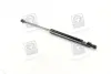 Амортизатор багажника CHEVROLET TACUMA; REZZO (U100) (вир-во) PARTS-MALL PQC211 (фото 1)