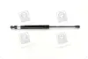 Амортизатор багажника CHEVROLET TACUMA; REZZO (U100) (вир-во) PARTS-MALL PQC211 (фото 3)