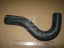 Патрубок радіатора верхній Kia Sorento 02- (вир-во) PARTS-MALL PXNLB-055 (фото 1)