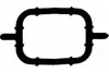 Прокладка колектора IN BMW M47/M57/N47/N57 (6) (вир-во Payen) PAYEN JD5108 (фото 1)
