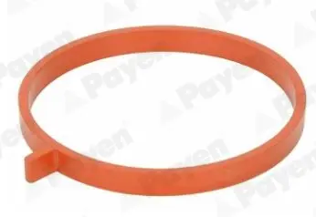 Прокладка. впускний колектор RENAULT 0.9 TCe H4B (вир-во Payen) PAYEN JD6186