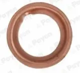 Кольцо уплотнительное PAYEN KG5353