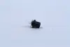 Лампа розжарювання BAX8.5d-2Black12V 1.2W BAX8.5d-2 black (вир-во Philips) PHILIPS 12598CP (фото 2)