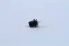 Лампа розжарювання BAX8.5d-2Black12V 1.2W BAX8.5d-2 black (вир-во Philips) PHILIPS 12598CP (фото 4)