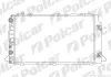 Радиаторы охлаждения POLCAR 130808-7 (фото 1)