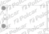 Радиаторы обогрева POLCAR 1325N8-1 (фото 1)