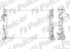 Радиаторы охлаждения POLCAR 142108A3 (фото 1)