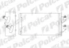 Радиаторы обогрева POLCAR 3001N8-1 (фото 1)