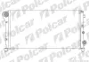 Радиаторы охлаждения POLCAR 300308A3 (фото 1)