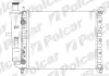 Радиаторы охлаждения POLCAR 301808-1 (фото 1)