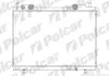 Радиаторы охлаждения POLCAR 301908-8 (фото 1)