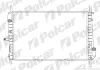 Радиаторы охлаждения POLCAR 321808-3 (фото 1)