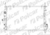 Радиаторы охлаждения POLCAR 321808-5 (фото 1)