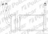 Радиаторы обогрева POLCAR 3244N8-2 (фото 1)