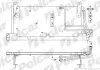 Радиаторы кондиционера POLCAR 5555K8C1 (фото 1)