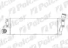 Радиаторы воздуха (Интеркулеры) POLCAR 6012J81X (фото 1)