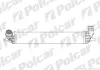 Радиаторы воздуха (Интеркулеры) POLCAR 6039J8-1 (фото 1)