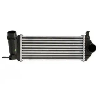 Радиаторы воздуха (Интеркулеры) POLCAR 6062J8-3