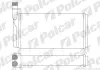 Радиаторы обогрева POLCAR 6521N8-2 (фото 1)