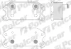 Радиаторы масла POLCAR 9042L8-1 (фото 1)